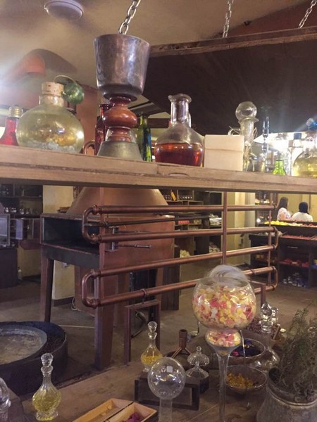 A magical day at EcoVillage Bader Hassoun by OrchideaByRita Part 1